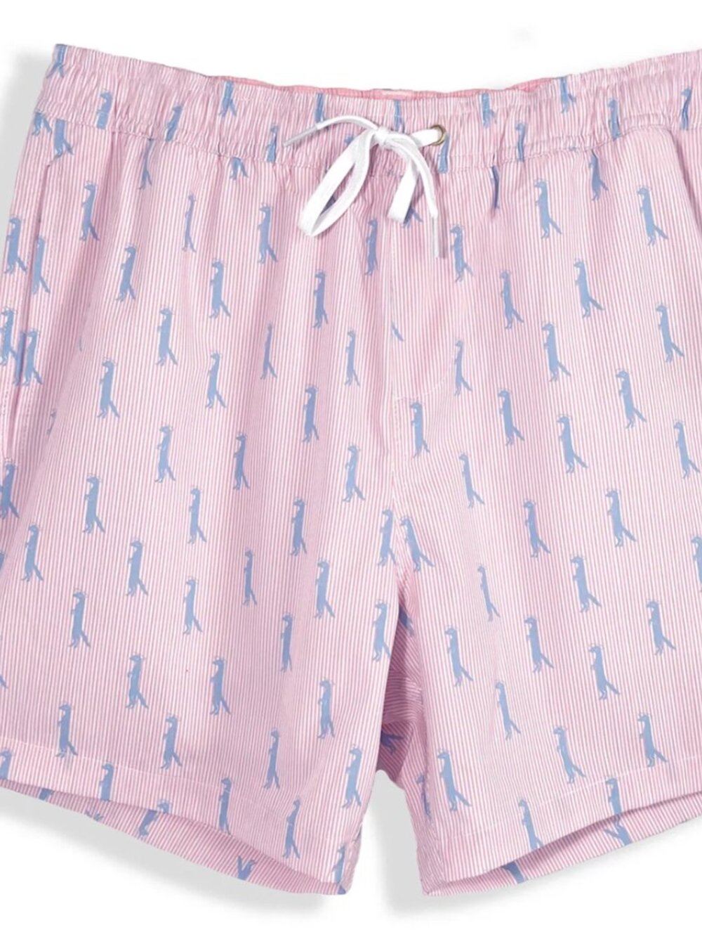 Southern Saint Men's Pink Striped Swim Trunks. Size small.